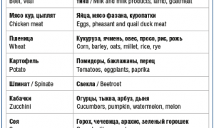 Аллергия на гречку у ребенка и взрослого. Рекомендации по введению прикорма грудничкам
