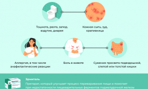Препарат Эрмиталь: нюансы использования и меры предосторожности