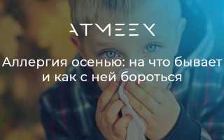 Аллергия в сентябре — основные провокаторы