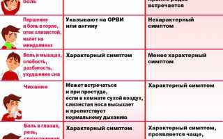 На что бывает аллергия осенью и как с ней бороться