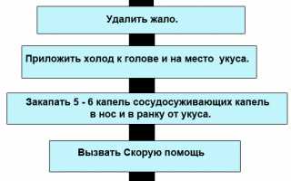 Первая помощь при возникновении аллергической реакции