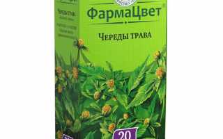 Череда от аллергии — эффективное и безопасное средство