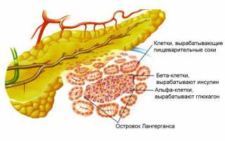 Особенности калькулезного панкреатита