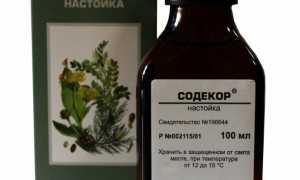 Настойка Содекор: инструкция по применению, отзывы, аналоги, цена