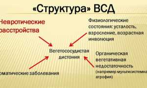 Вегето-сосудистая дистония у взрослых: симптомы и лечение