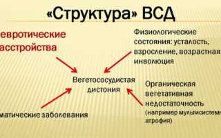 Вегето-сосудистая дистония у взрослых: симптомы и лечение