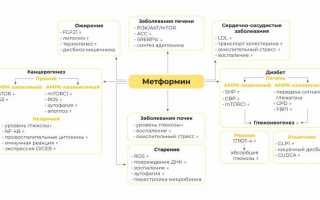 Применение Метформина при панкреатите