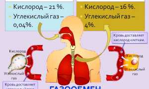 Как проверить сатурацию без пульсоксиметра