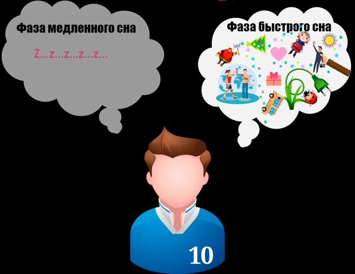 быстрый и медленный сон