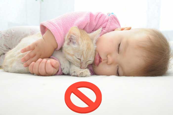 малыш спит с котом