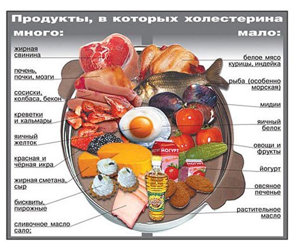 список продуктов с холестерином