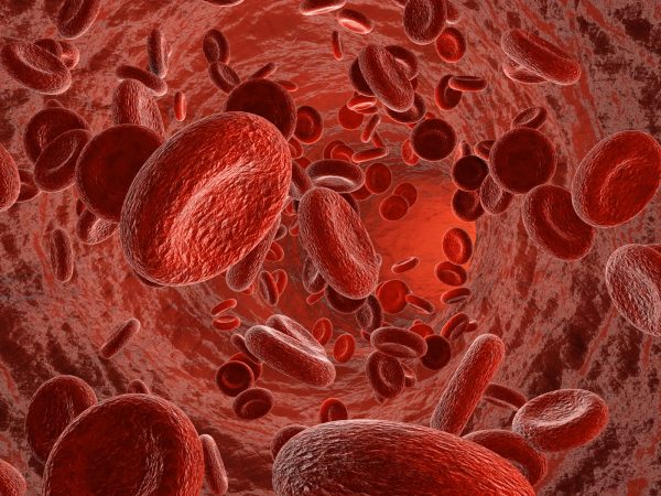 продукты разжижающие кровь и препятствующие образованию тромбов