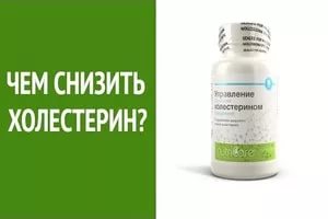 чем снизить холестерин