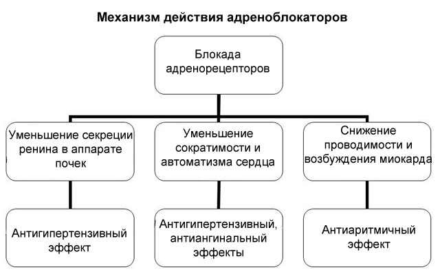 adrenoblokatory