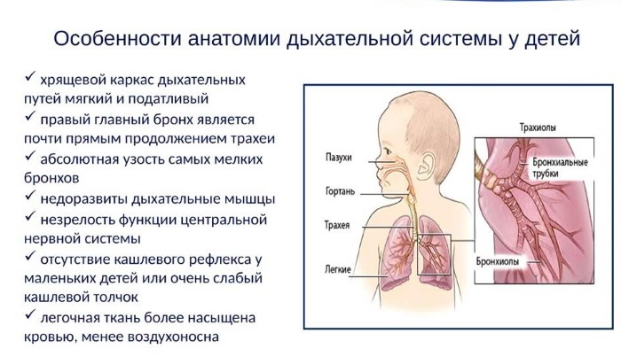 dyhatelnaja sistema rebenka