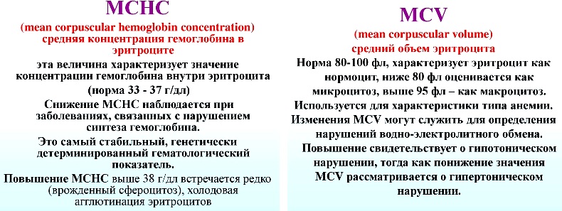 mchc i mcv