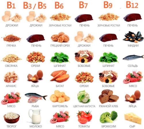 vitaminy_gruppi_b