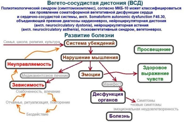 vsd shema