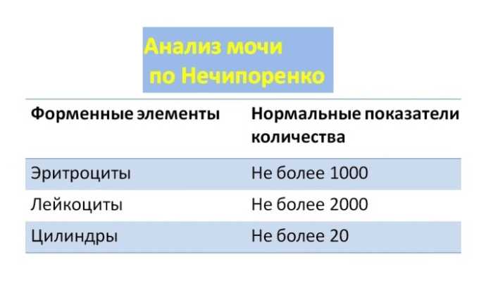 Анализ по Нечипоренко проводится в том случае, когда врачу нужна информация о сопутствующих заболеваниях мочевыводящих путей и почек