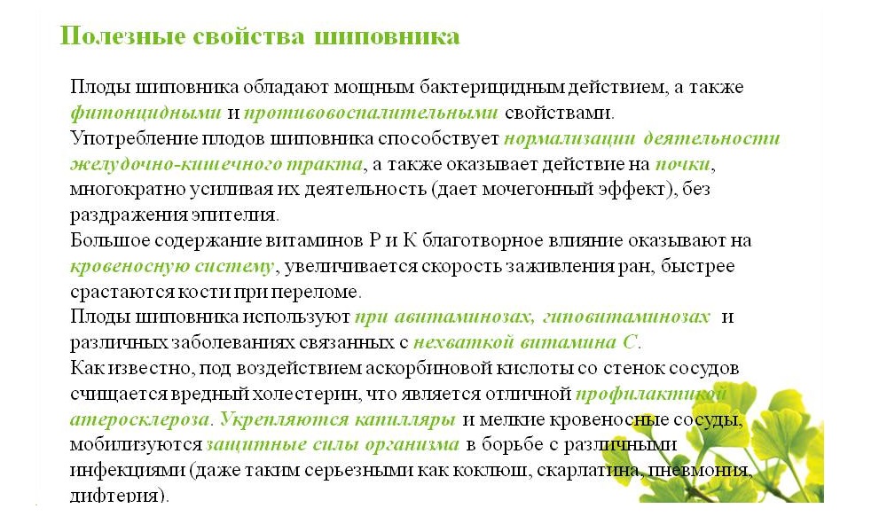 Во всех частях шиповника содержатся витамины различных групп, микроэлементы, эфирные масла, флавоноиды и другие полезные вещества