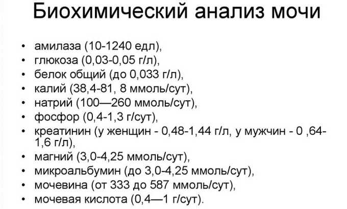 Для биохимического анализа важно сдать полную порцию утренней урины, чтобы оценить состояние уретры и мочевого пузыря