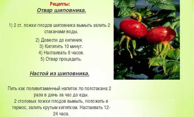 Чтобы не причинить вреда организму, не следует превышать дозировку приема лекарственного напитка из шиповника. Определить, какое количество отвара следует принимать, поможет врач