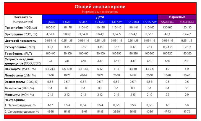 Результаты общего анализа крови при хроническом панкреатите покажут умеренный лейкоцитоз - повышение количества лейкоцитов в крови
